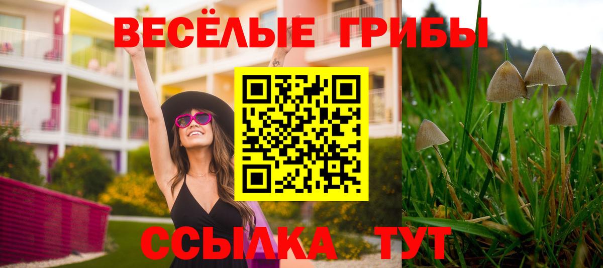 Сухой Лог  наркота  Вход с VPN  Псилоцибиновые грибы ЛСД 